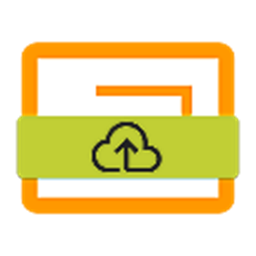 Google Slide Link